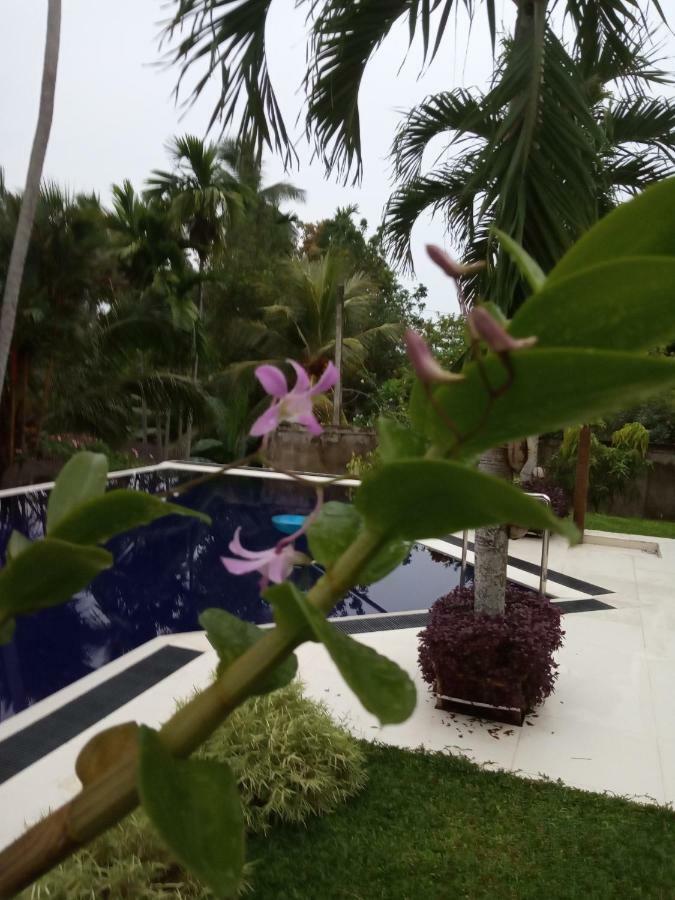 Colibri Villa Maggona Εξωτερικό φωτογραφία